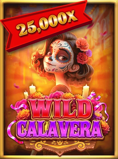 Video slot game cover with bonus rounds